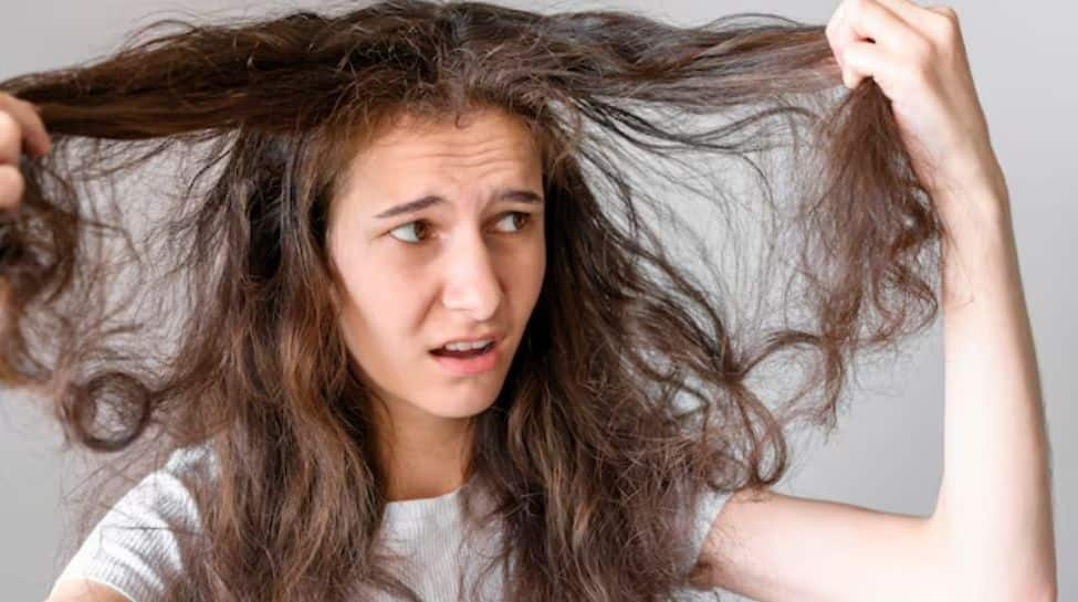 Humidity And Hair: Why Frizz Happens?