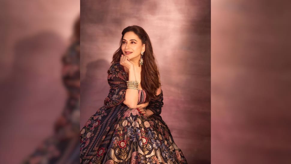 Madhuri Dixit On USA Tour: 'It's Going To Be A Rushed Trip'