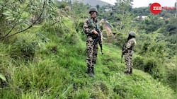 J-K: Search Operation Underway In Udhampur After Fire Exchange With Terrorists