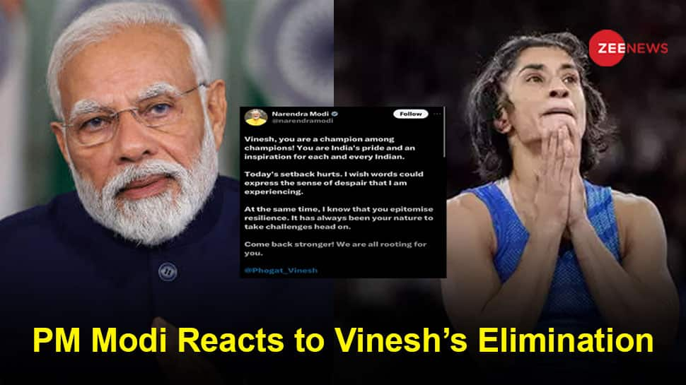 Vinesh Phogat Disqualification Motive: PM Narendra Modi Reacts To Row, Talks To PT Usha