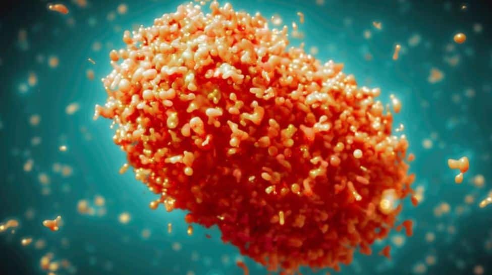 Mpox Virus: Deadly Monkeypox Outbreak In Africa, WHO May Declare A Global Emergency