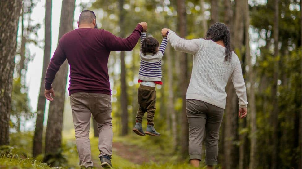 Elephant Parenting: Nurturing The Next Generation With Love And Care