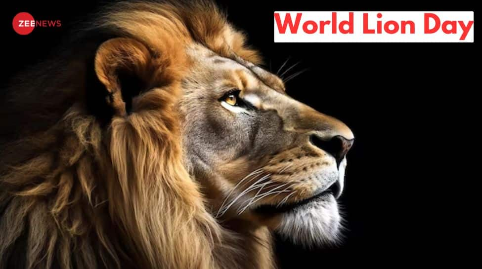 World Lion Day Date, Significance, History, And More Culture News