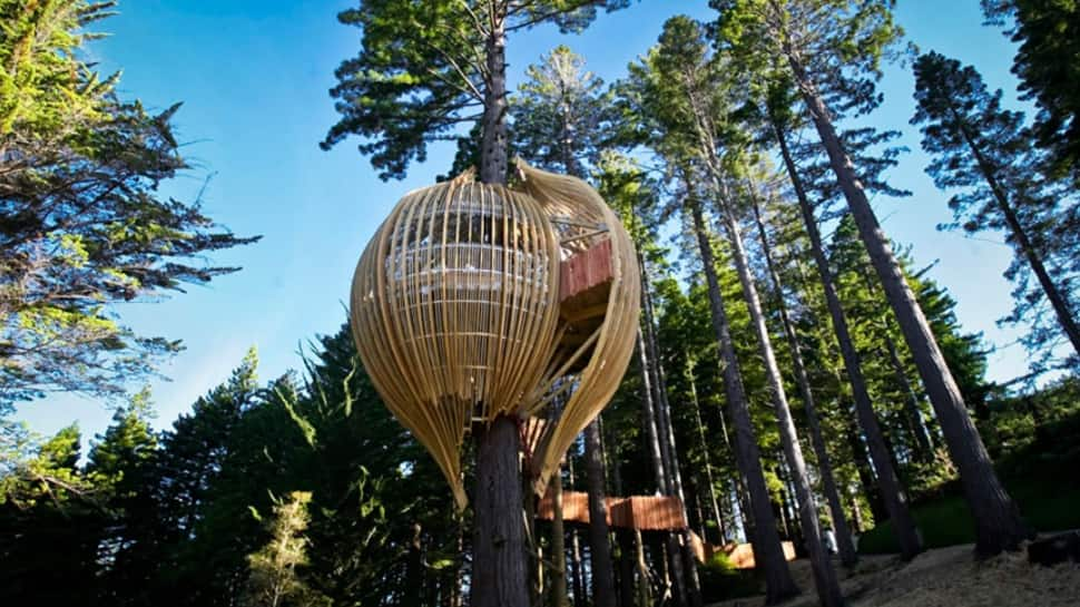 The Treehouse Restaurant, New Zealand