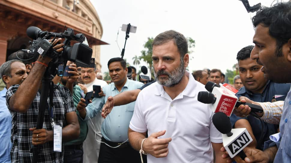 &#039;Umpire Of Stock Market Compromised...&#039;: Rahul&#039;s Cricket Analogy On Hindenburg Allegations On SEBI Chief