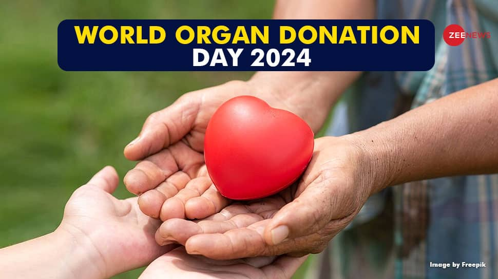 National Organ Donation Day 2024: Significance, History &amp; Government Schemes 