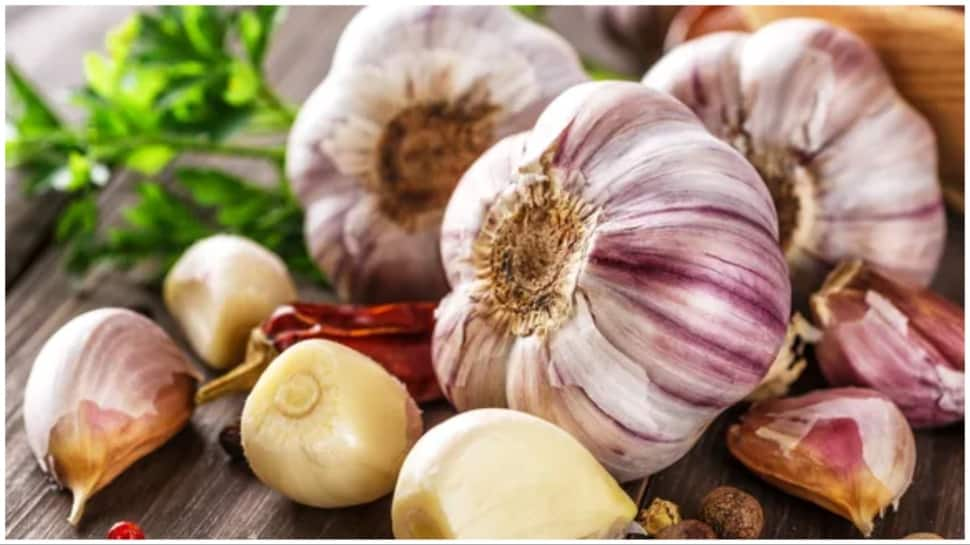 Burning Garlic Question! Is It A Vegetable Or Spice - Madhya Pradesh High Court Finally Decides