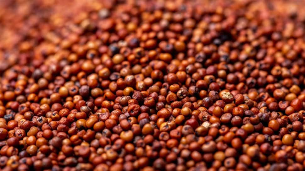 Ragi (Finger Millet)