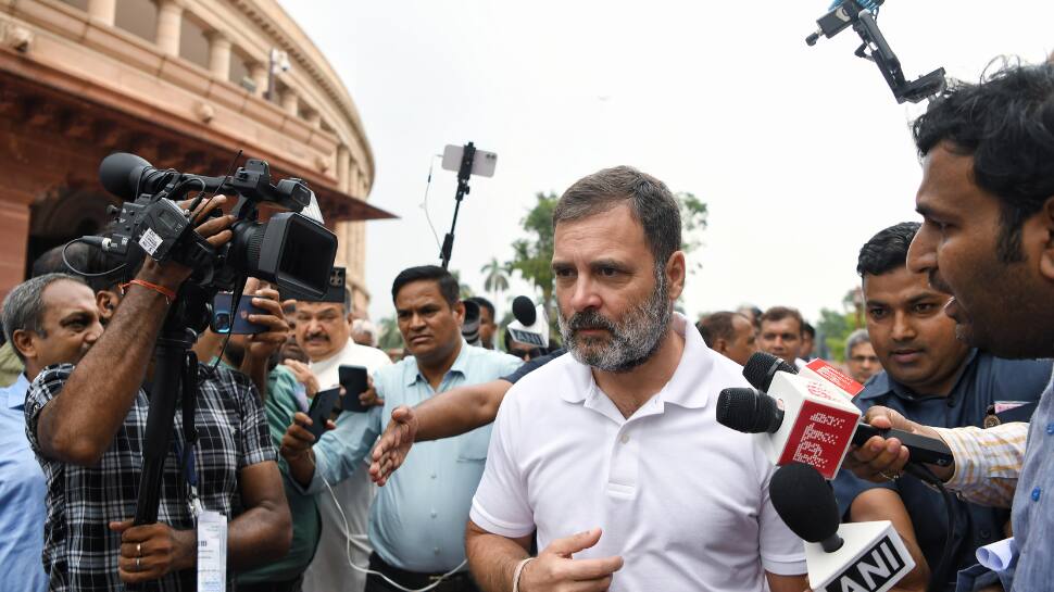 BJP Slams Rahul Gandhi For &#039;Lying&#039; About Lateral Entry Move, Reminds Him Of UPA Rule