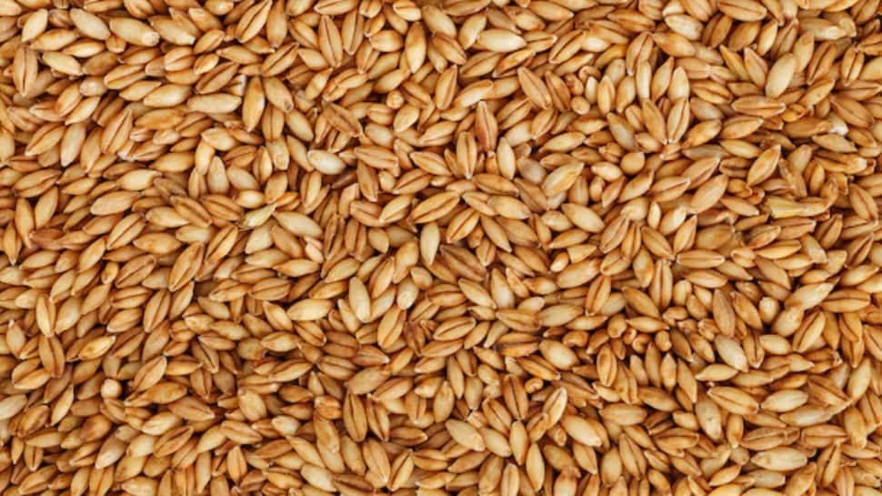 Barley