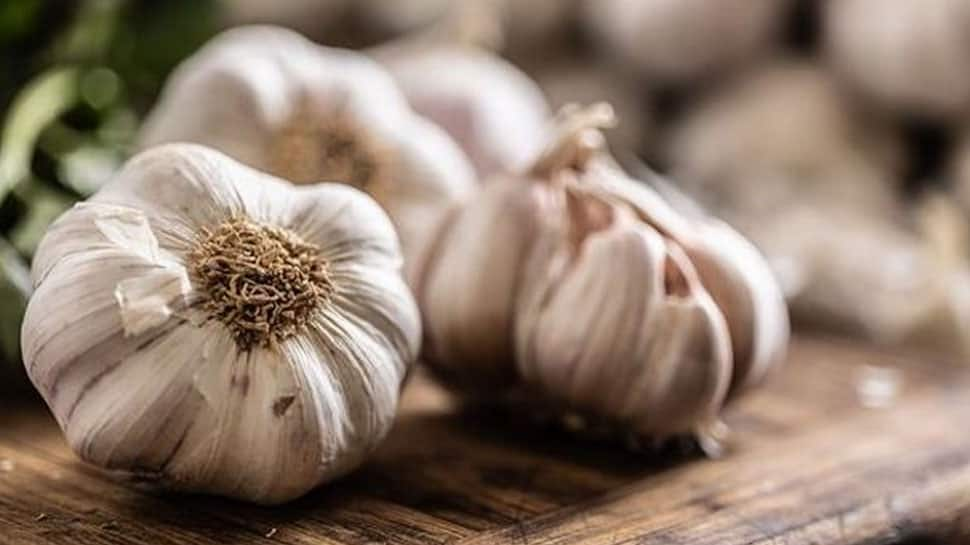 Garlic