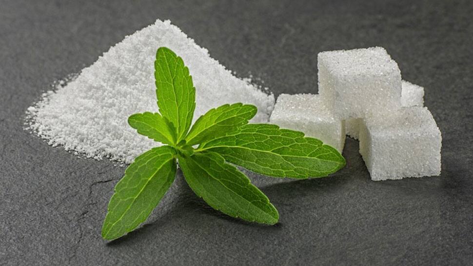 Stevia