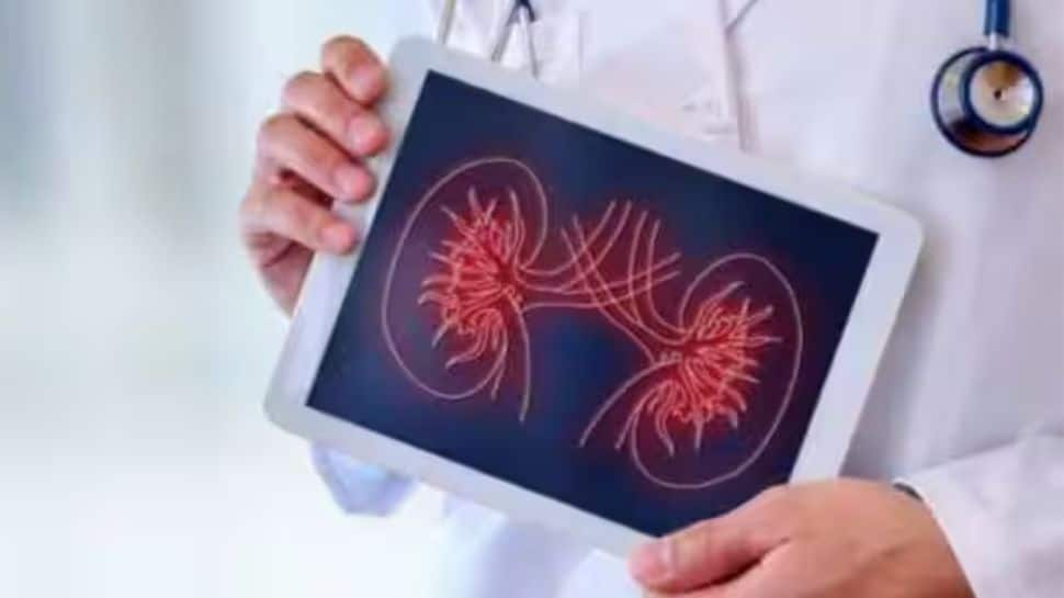 Warning Signs That Your Kidneys Are Not Okay