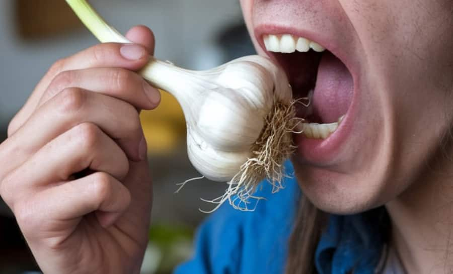 Garlic Supplements Are as Good as Raw Garlic 