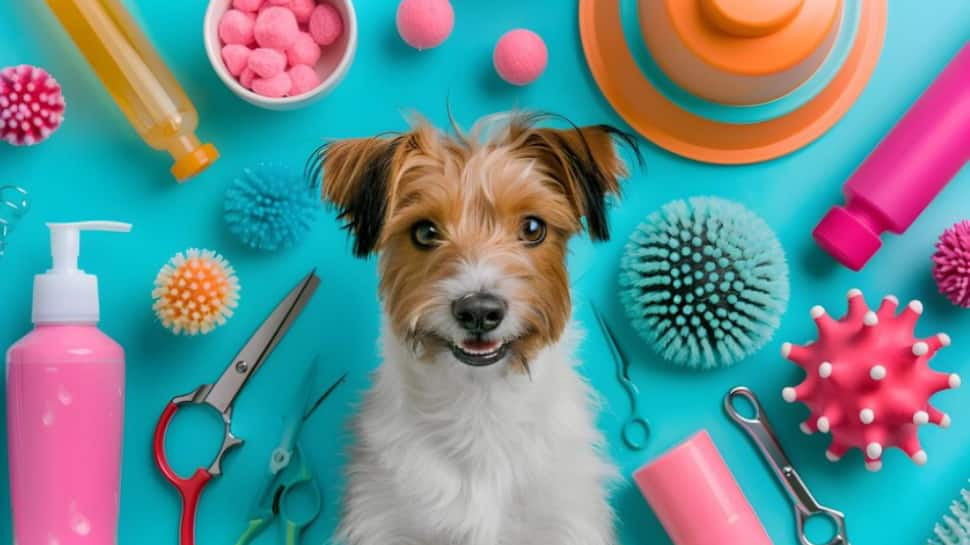 Top Picks for a Shiny, Healthy Coat: Essential Grooming Products for Your Pet