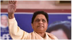 Mayawati Slams Congress, SP; Vows No Alliances in Future Elections