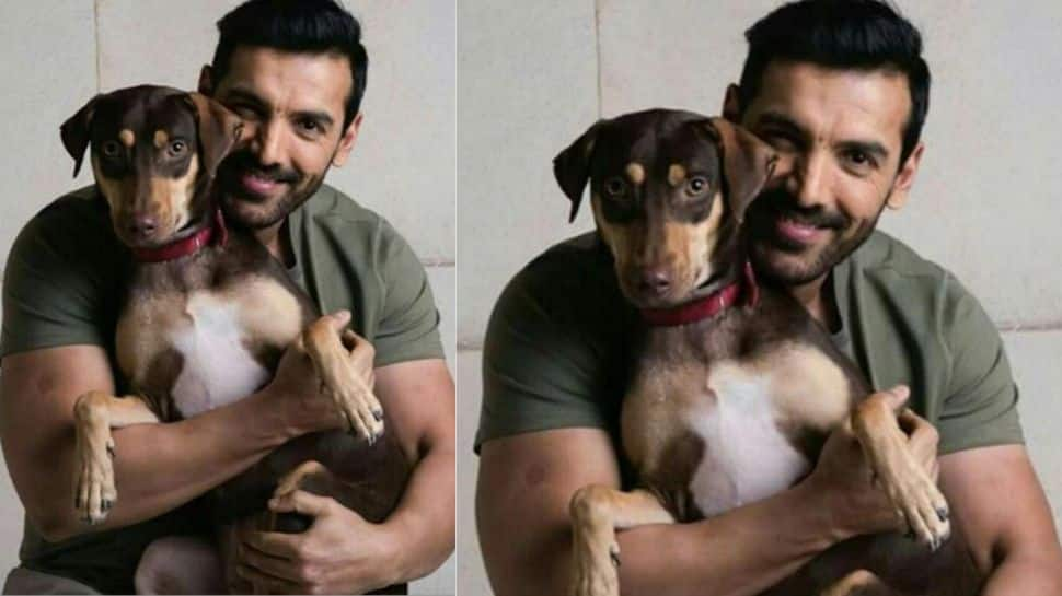 John Abraham 