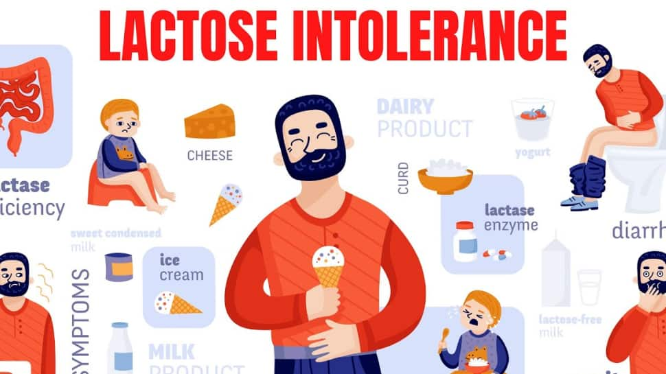 Are You Intolerant to Lactose? These Are the Foods You Need to Avoid