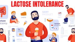 Are You Intolerant to Lactose? These Are the Foods You Need to Avoid