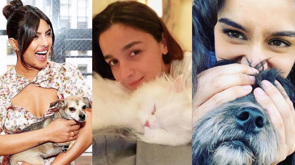 10 Well-Known Celebrities Who Love Their Pets