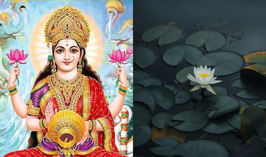 Goddess Lakshmi:  