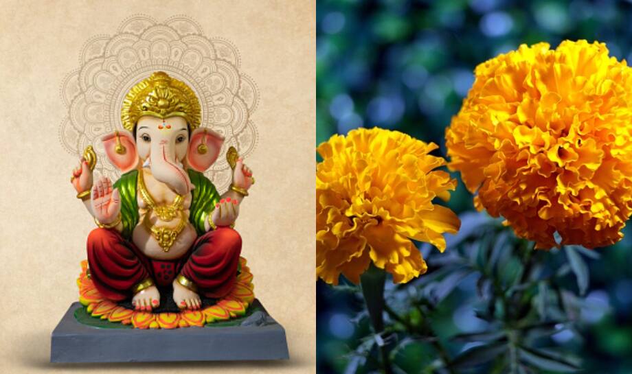 Lord Ganesh: