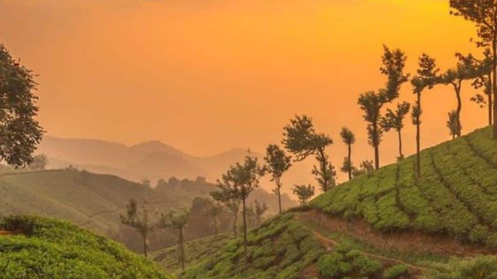 Munnar, Kerala