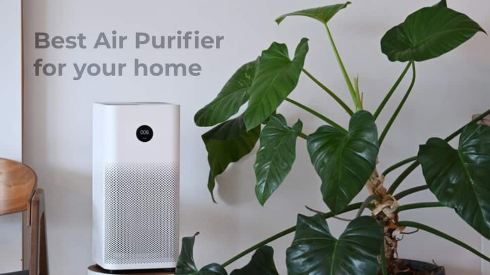 Top 5 Air Purifiers to Ensure Fresh and Clean Air at Home