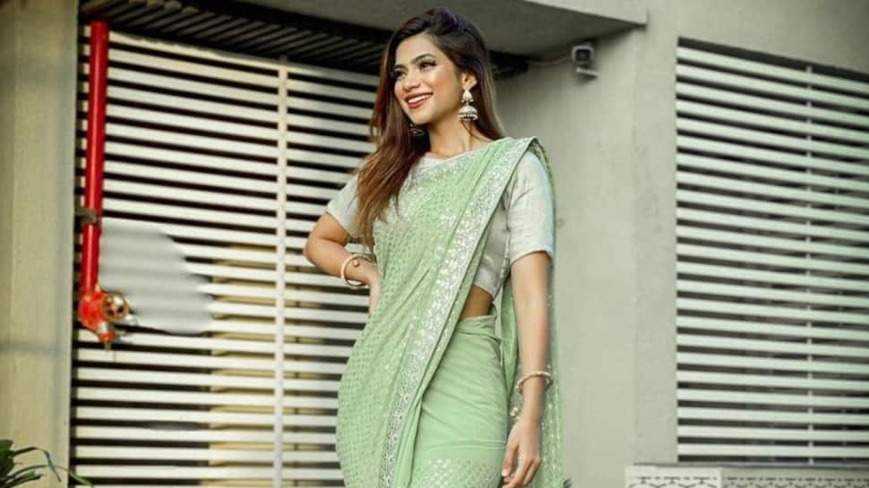 Pastel Green Saree