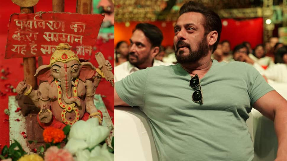 Salman Khan Bats For Eco-Friendly Ganesh Chaturthi 2024, 'I Won't Throw Garbage And Won't Let Others Throw Garbage'