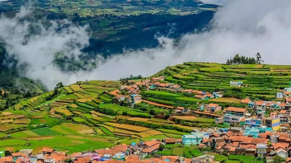 Ooty 