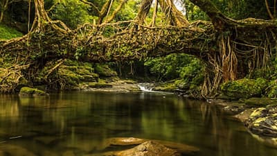 Mawlynnong, Meghalaya