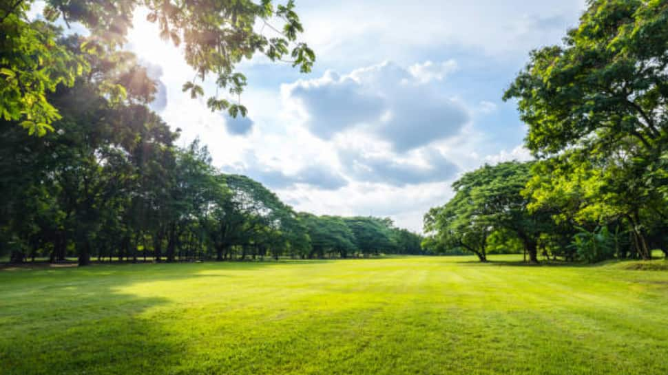 Koolipalayam Park