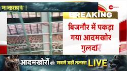 28 killed, Man-eating leopard caught