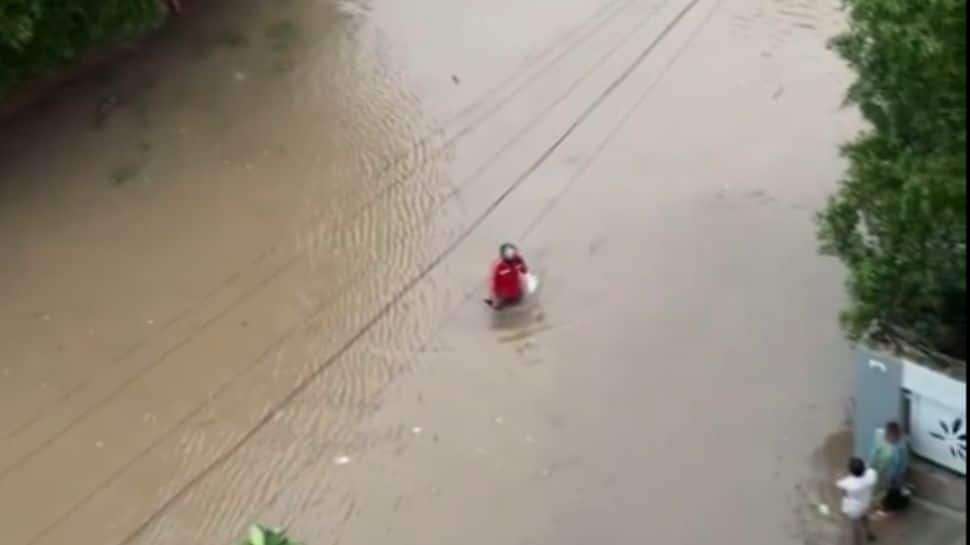 Zomato Delivery Agent&#039;s Heroic Effort In Flooded Ahmedabad Captures Hearts – Watch Viral Video 