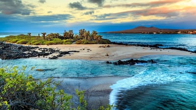 Galapagos Islands, Ecuador 