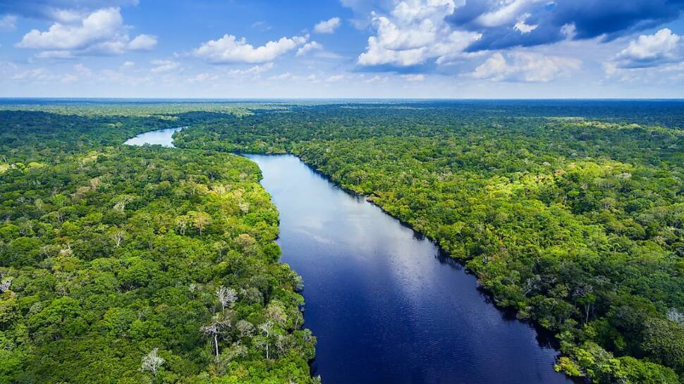 Amazon Rainforest, Brazil 