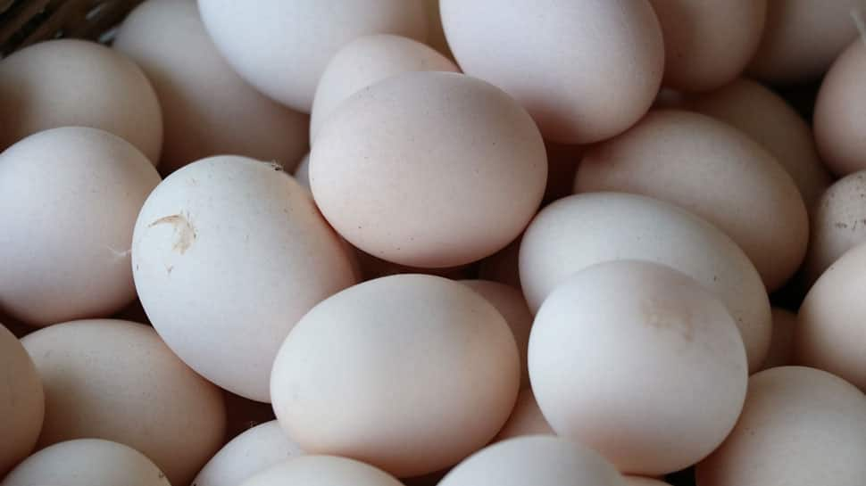 Eggs