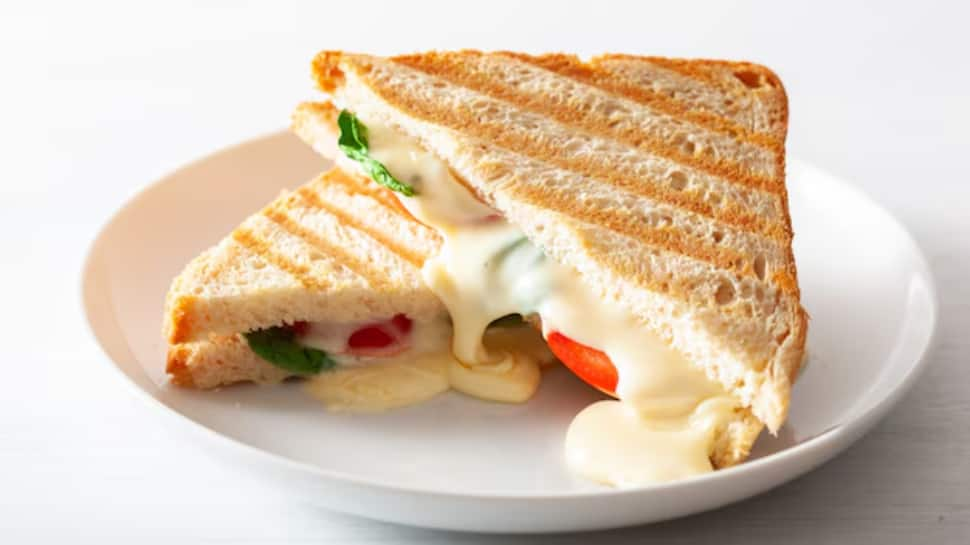 Vegetable Mayo Sandwich