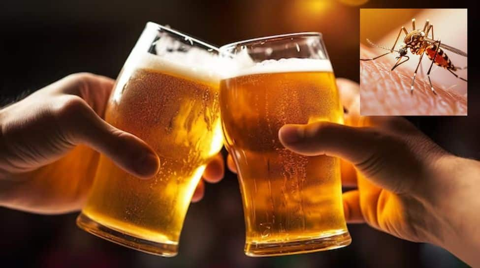 Beer Lovers Beware! Viral Study Claims You’re A Mosquito Magnet, And Netizens React Hilariously