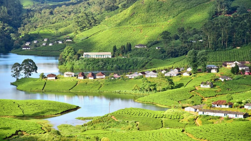 Kerala's Munnar