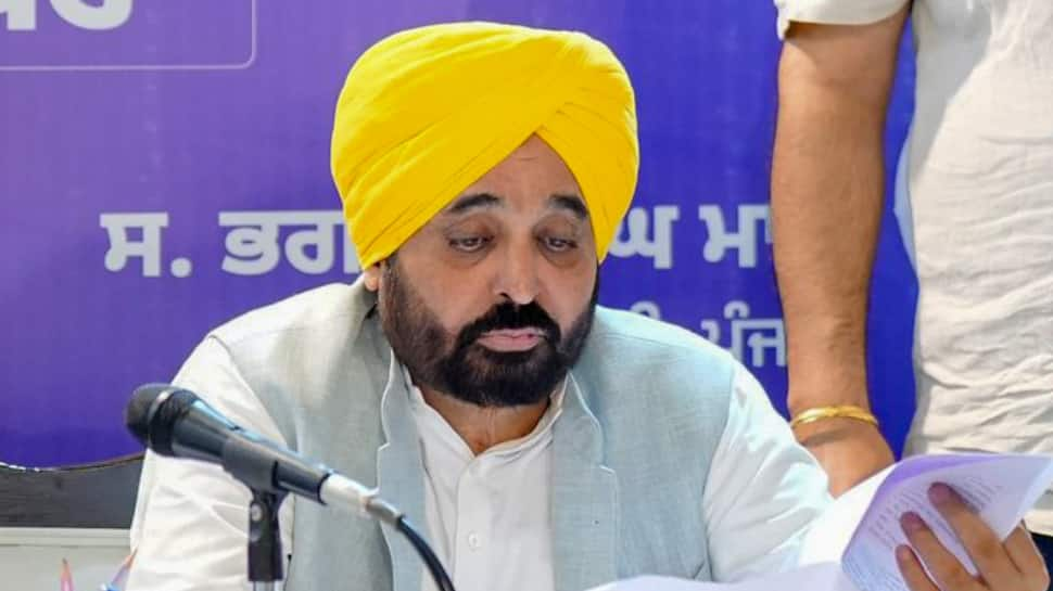 Punjab Govt Hikes VAT On Petrol, Diesel; Cancels Previous Govt&#039;s Power Subsidy Scheme