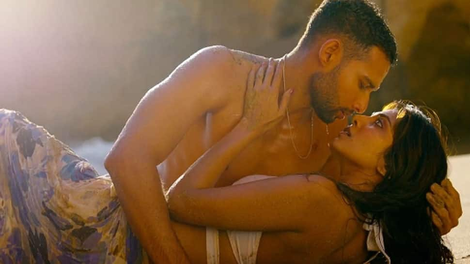 Siddhant Chaturvedi and Malavika Mohanan - ‘Yudhra’