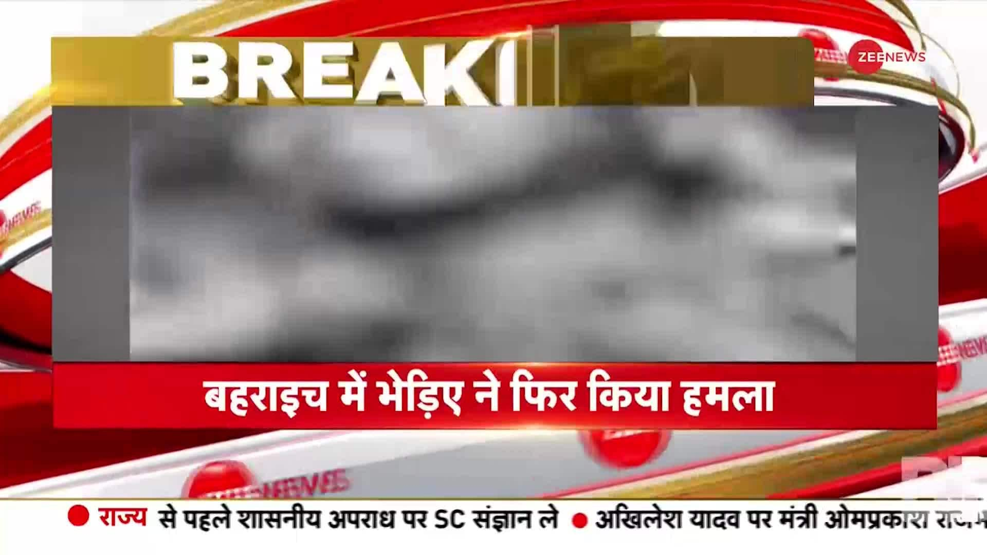 Wolf attacks 12 year old in UP's Bahraich | Zee News