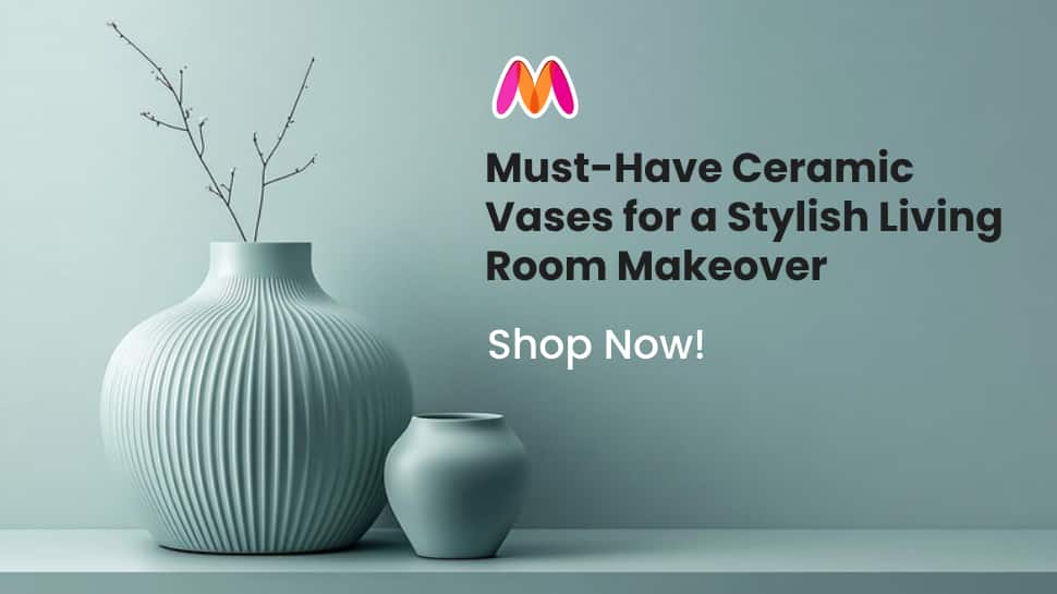 Must-Have Ceramic Vases for a Stylish Living Room Makeover