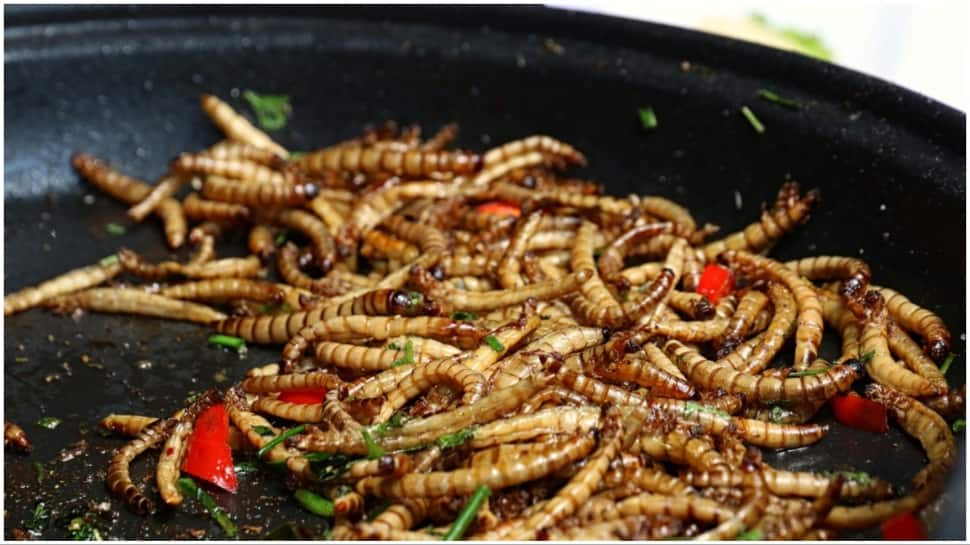 Mealworms