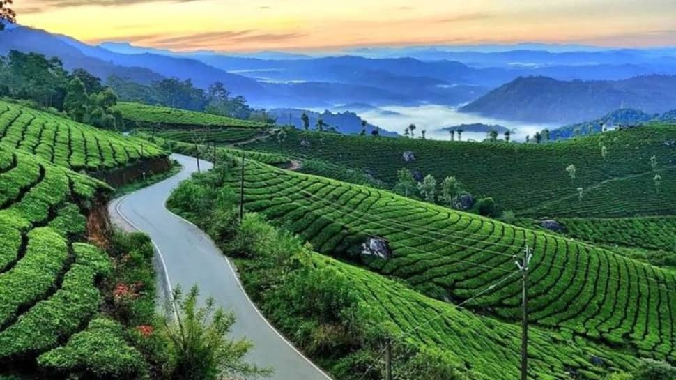 Munnar 