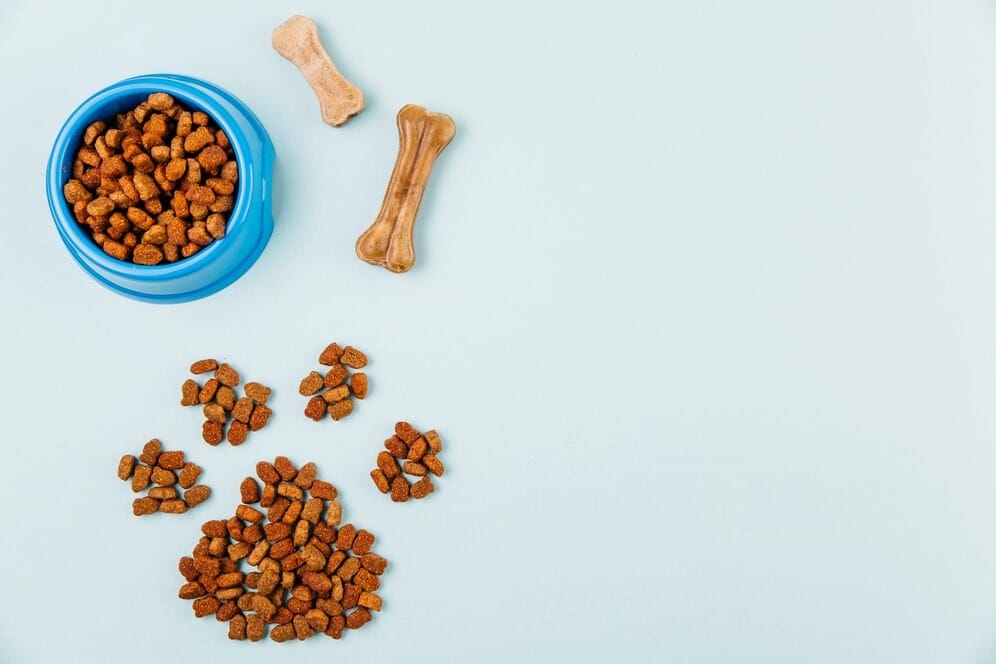 A Guide to Dog Dry Food