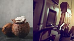 Why Is Copra (Coconut) Not Allowed In Flight? Check List Of Banned Items