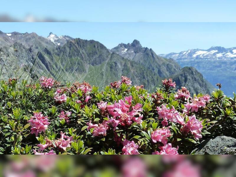 7 Offbeat Places to Visit in Sikkim for a Unique Adventure | News | Zee ...